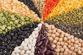 Legumes